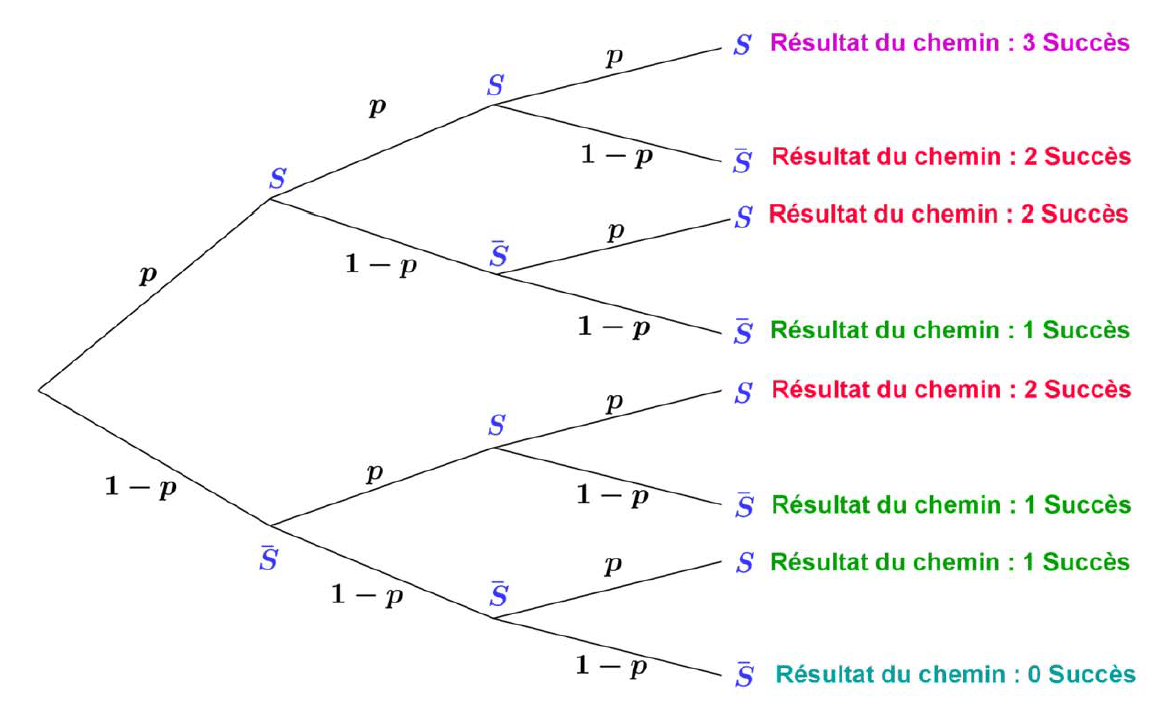 image Algorithme Bernoulli